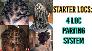 KNOW THIS BEFORE YOU START LOCS | 4 PARTING SYSTEMS | Patty Phattty