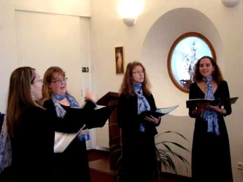 Ave Maria (Modrý čtyřlístek)