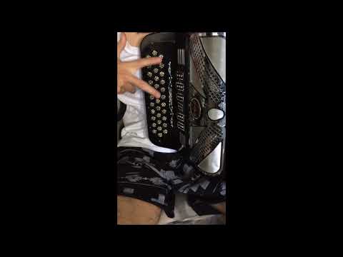 finta de niños acordeon