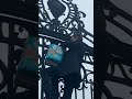Igor Matovič Vyliezol Na Bránu Úradu Vlády SR S Balíkom Plienok V Ruke