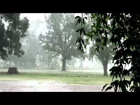 MANGALAM | KOSMIK BAND (visualizer)