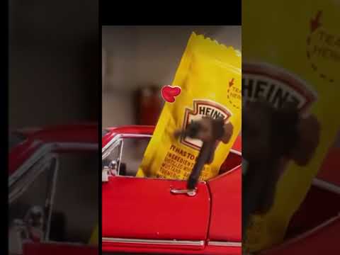 Mustard is better than ketchup