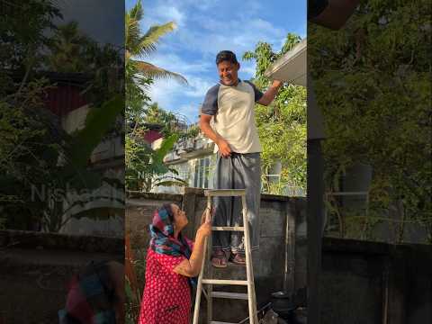 ഇതിന് വട്ടാണ്...