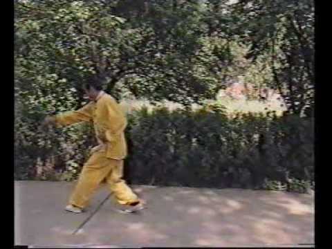 Yang Fan Sheng BengQuan Che Style Xing Yi Quan