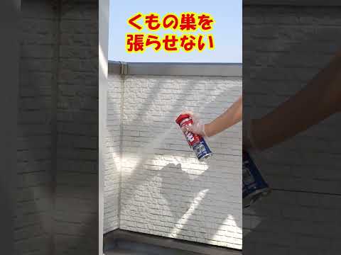 園芸 クモの巣ハウスネギ