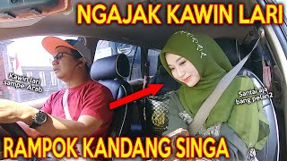 Download lagu PRANK SHOLAWAT RAMPOK KANDANG SINGA !! BINI TETANGGA KAWIN LARI mp3 Download lagu PRANK SHOLAWAT RAMPOK KANDANG SINGA !! BINI TETANGGA KAWIN LARI mp3