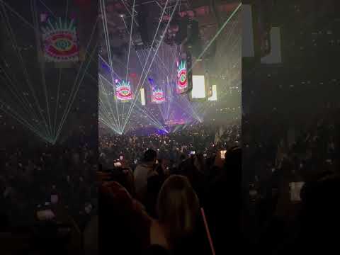 Bichiyal - bad bunny