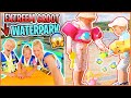 EXTREEM GROOT AQUAPARK TESTEN ?+ ViSSEN VANGEN iN HET MEER ? ( Europa reis) ?? | Bellinga Vlog #2904