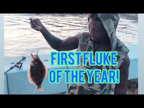 First Fluke of the year!