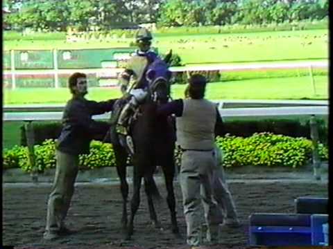 Slew o' Gold - 1983 Jockey Club Gold Cup (CBS)
