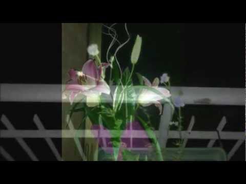 Ti vorrei sollevare COVER BY Danny