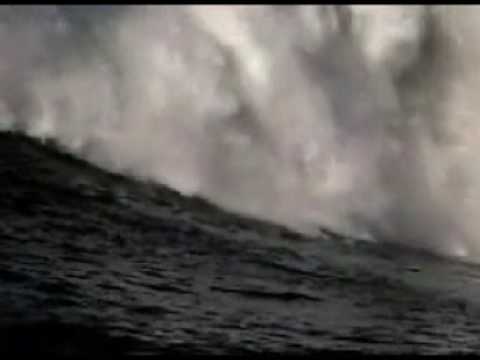 Isto é Hollywood, o Sucesso  - Gary O Get It While You Can Surf