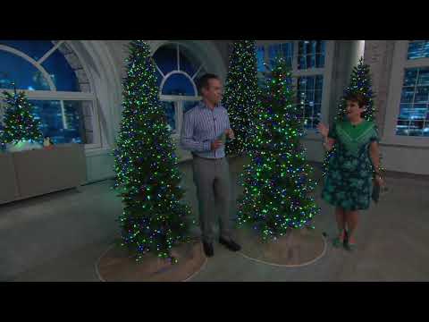 download lagu mp3 mp4 Santas Best Christmas Tree, download lagu Santas Best Christmas Tree gratis, unduh video klip Santas Best Christmas Tree