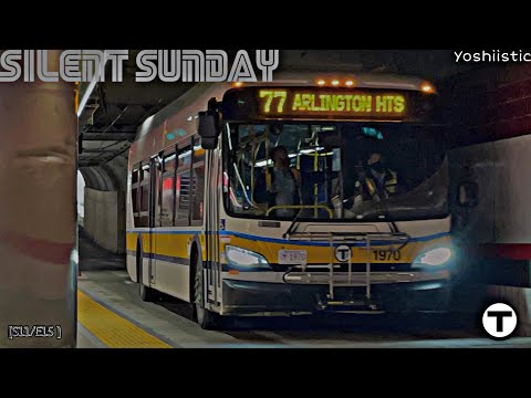 Silent Sunday | Yoshi's Ride Series {S11-E15} - Riding the 77 🚌 - {MBTA}