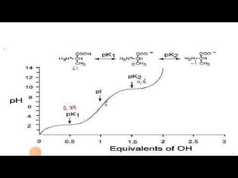 Ch.3 Amino Acid part 5 Titration curve of basic amino acids (Histidine and Lysine)