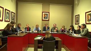Ple extraordinari del 22 de març de 2018