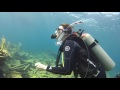 Scuba Diving @ Bermuda   2015, Bermuda Tauchplätze, Bermuda