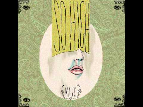 Males - So High