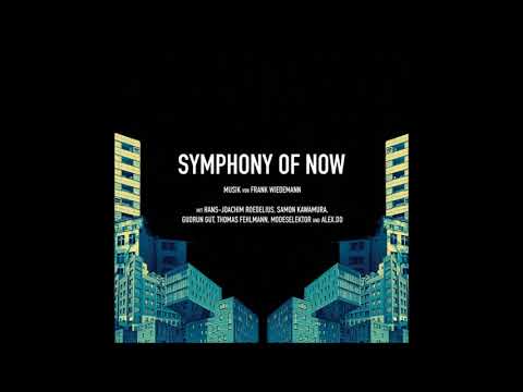 Frank Wiedemann & Gudrun Gut & Thomas Fehlmann - Symphony Of Three