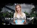 DEAR PLANT COMMUNITY STOP Repot With Me