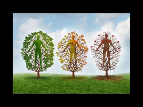 Ida Rolf Explains the Primary Concept of Rolfing