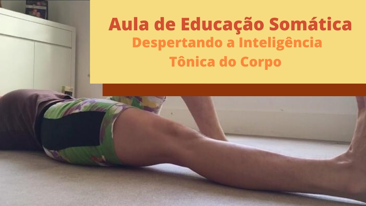 Aula de Educação Somática: Despertando a Inteligência Tônica do Corpo