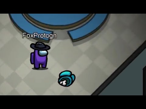 Shadow had messed up badly... (Among Us)