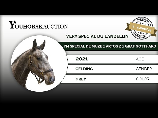 Very Special du Landelijn