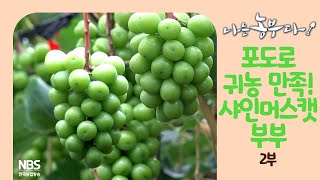 [나는농부다 260회 2부] 포도로 귀농 만족! 샤인머스캣 부부