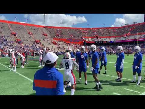 Auburn vs Florida Pregame Fight