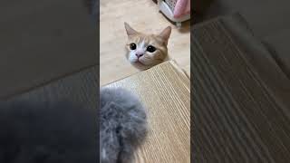 新しいモノ、興味あります