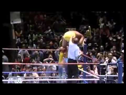 Ric Flair vs. Hulk Hogan Part 1  WWE 1991