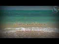 Va Va Anbe Anbe Song Agni Natchathiram Movie Tamil Whatsapp Dtatus