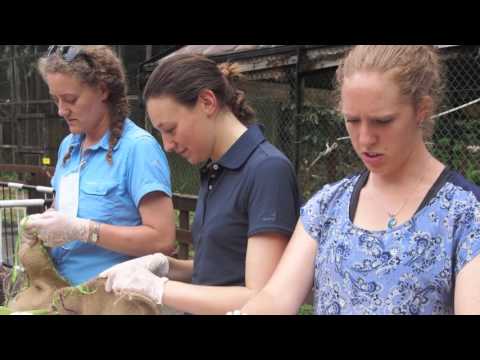 2015 GGAA Finalist: Learning, Teaching and Skills - Deakin University