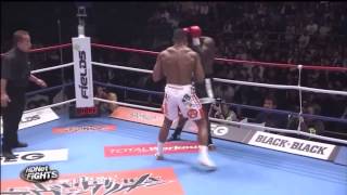 Alistair Overeem vs Remy Bonjasky