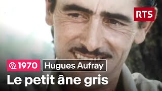 Hugues Aufray - Le petit âne gris (1970)
