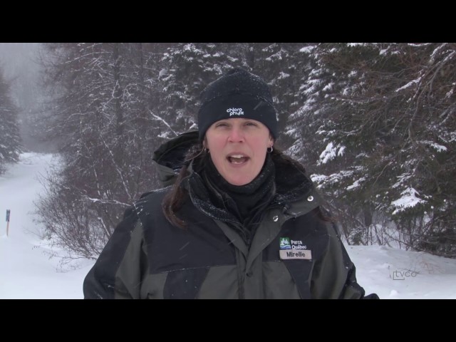 Reportage – Parc des Grands-Jardins avec Mireille Boulianne