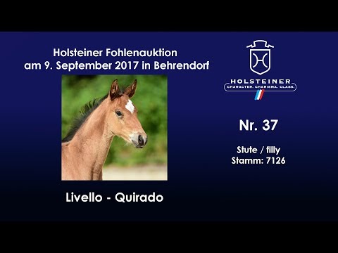 Nr. 37 v. Livello - Quirado