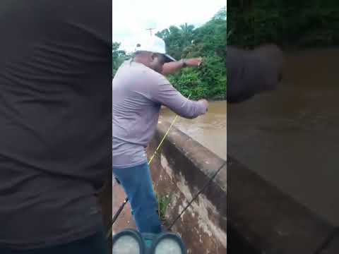 pescaria  na ponte rio urupá  Rondônia  .