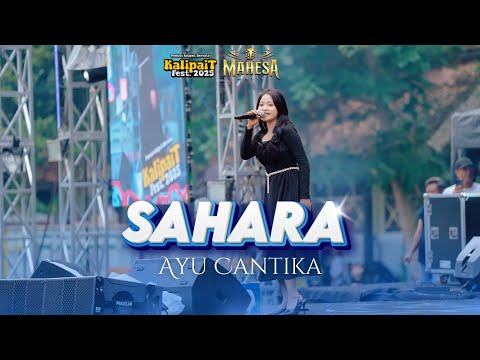 AYU CANTIKA - SAHARA | LIVE MAHESA MUSIC PEMUDA KALIPAIT BERSATU 2025