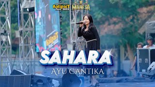 Download lagu AYU CANTIKA - SAHARA | LIVE MAHESA MUSIC PEMUDA KALIPAIT BERSATU 2025 mp3