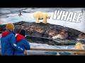 We Tried The World S Best Polar Bear Cruise Aurora Expeditions Svalbard Cruise