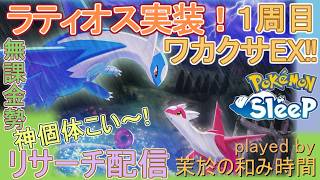 【#ポケスリ】ラティオス実装！EXで個体厳選スタート！【#ポケモンスリープ】ワカクサEX+８５％Plus+所持。無課金な中堅勢？によるPokémon Sleepのんびり実況♪
