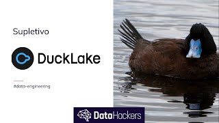 DuckLake (Portuguese)