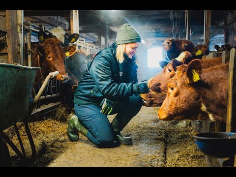 Fra tradisjon til digitalisering – slik fikk bonden Nora full økonomikontroll med Duett Økonomi