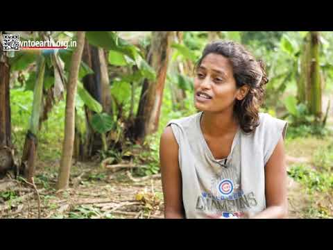 Farm to Food   Krishna McKenzie about edible herbs and his permaculture farm in Auroville