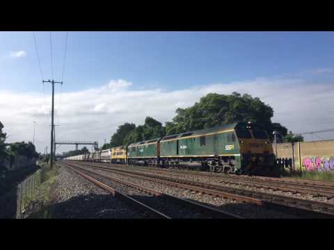 RL304-RL305-44206-B61-442S1 5448 loaded SSR grain Waratah 12-1-17