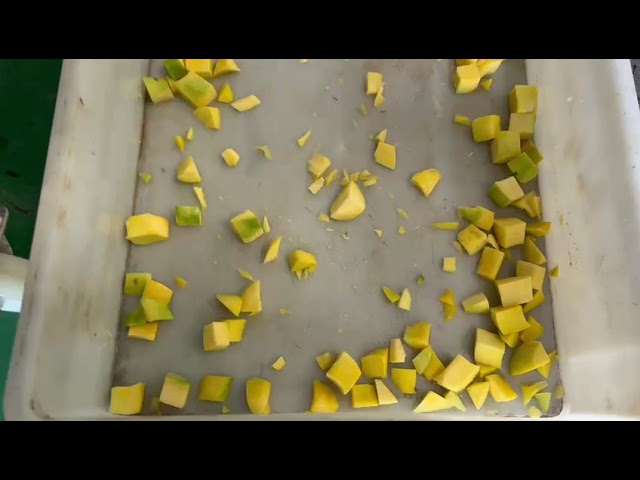 imagen-video-thefoodtech