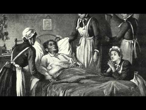 Fever 1793 Book Trailer