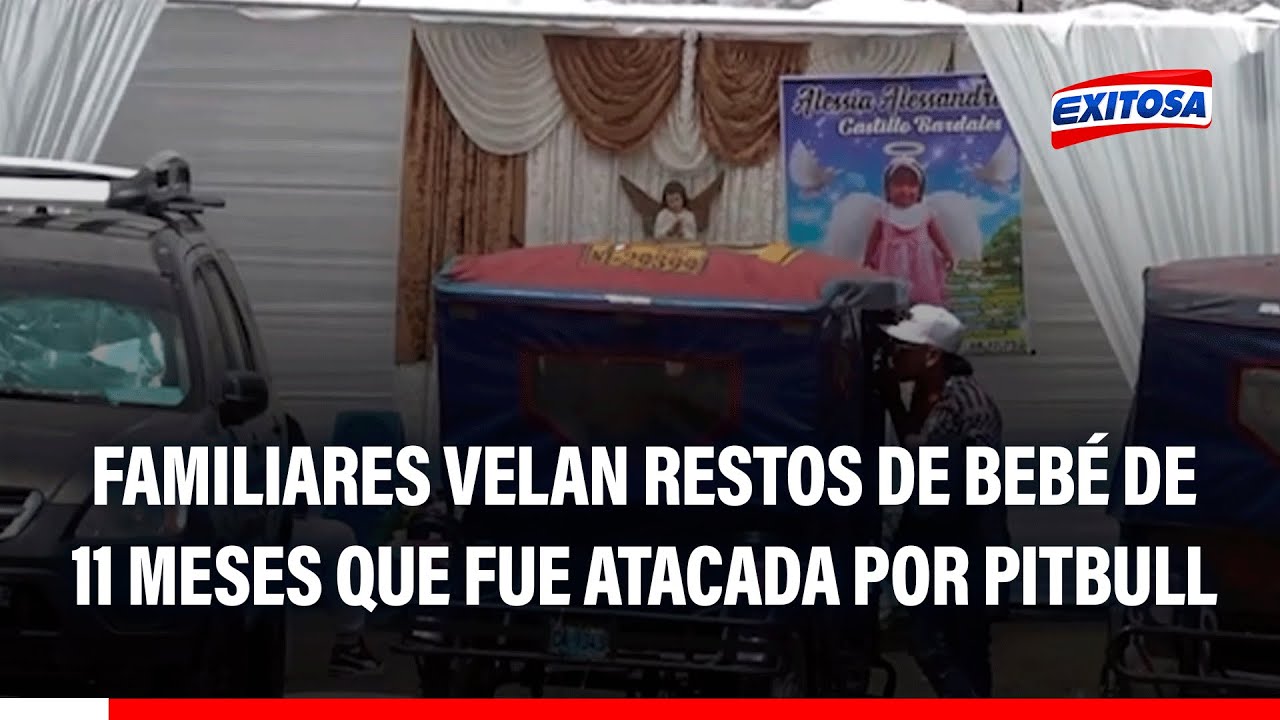 🔴🔵 SJL: Familiares velan restos de bebé de 11 meses que fue atacada por un pitbull